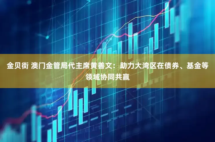 金贝街 澳门金管局代主席黄善文：助力大湾区在债券、基金等领域协同共赢